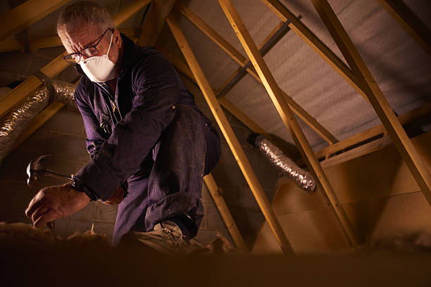 Best Cellulose Insulation in Wellington, OH